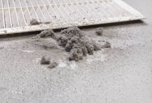 Best Professional Duct Cleaning Services  in Eden, NC